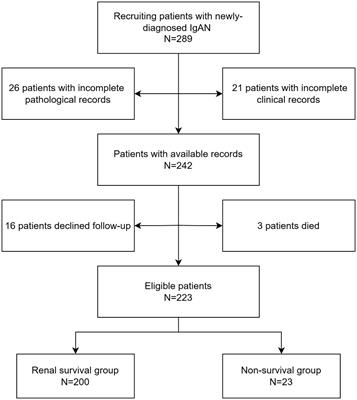 The predictive value of free thyroxine combined with tubular atrophy/interstitial fibrosis for poor prognosis in patients with IgA nephropathy